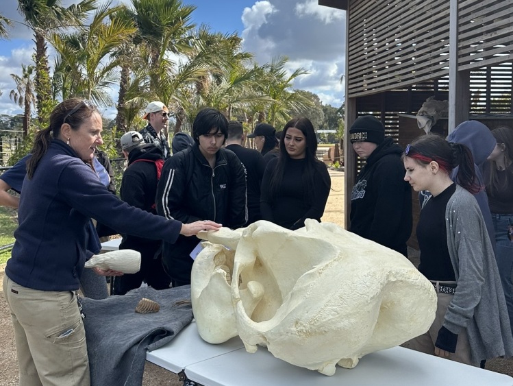 Zoo Keeper showing group of students elephants artifacts