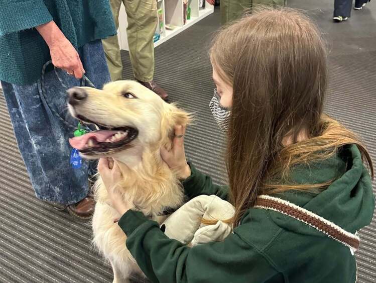 student getting some cuddle time with Bear the therapy dog