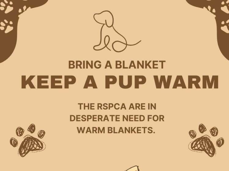Year 12 Students Support RSPCA Winter Donation Drive