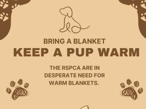 Year 12 Students Support RSPCA Winter Donation Drive
