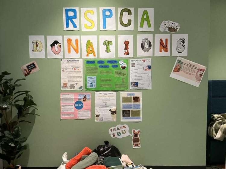 Urban College students RSPCA awareness posters and collected animal care donations