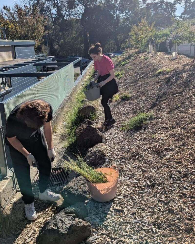 students weeding garden