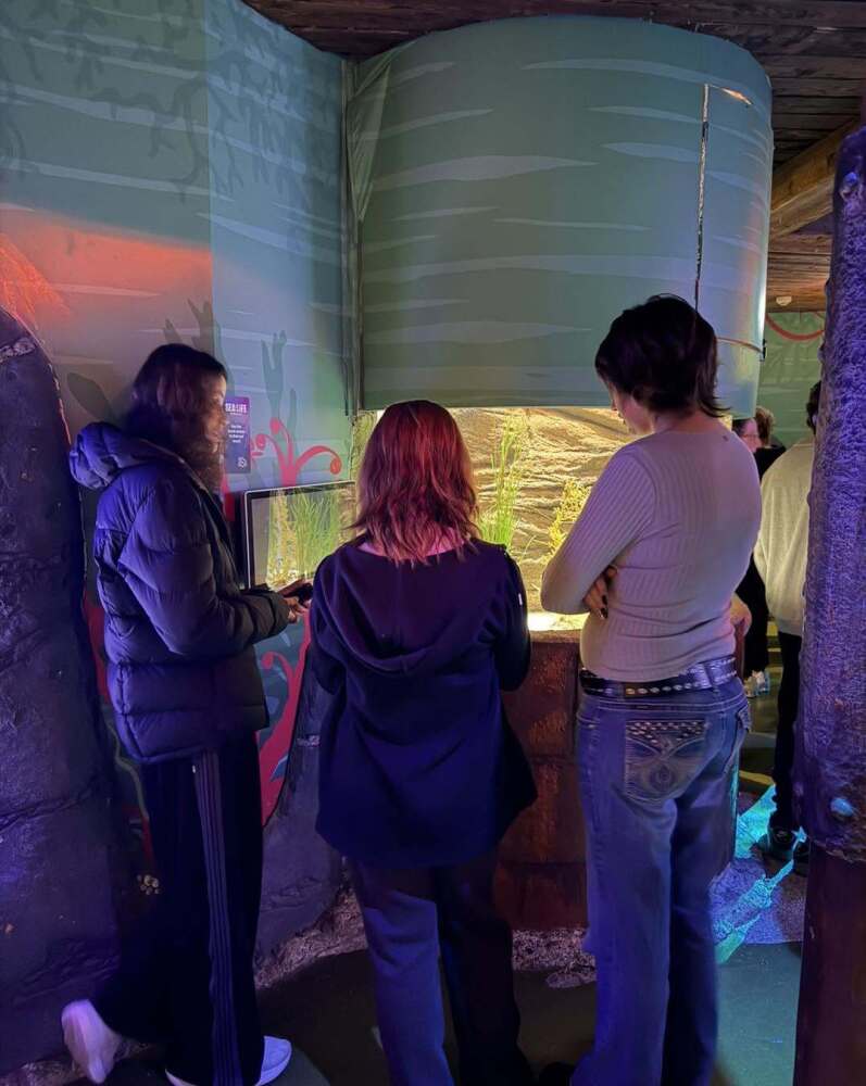 Students standing in front of fish tanks at Aquarium