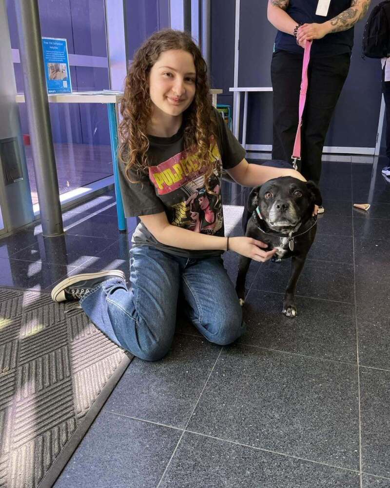 Urban College student patting a black dog during the RSPCA visit