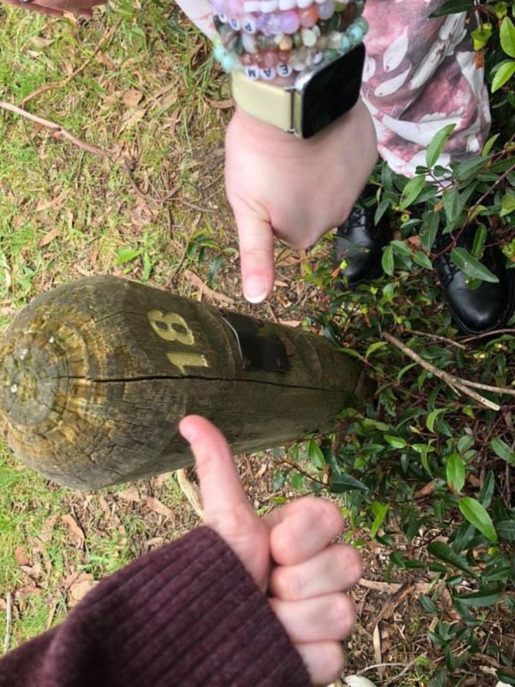 Cardinia Reservoir Orienteering