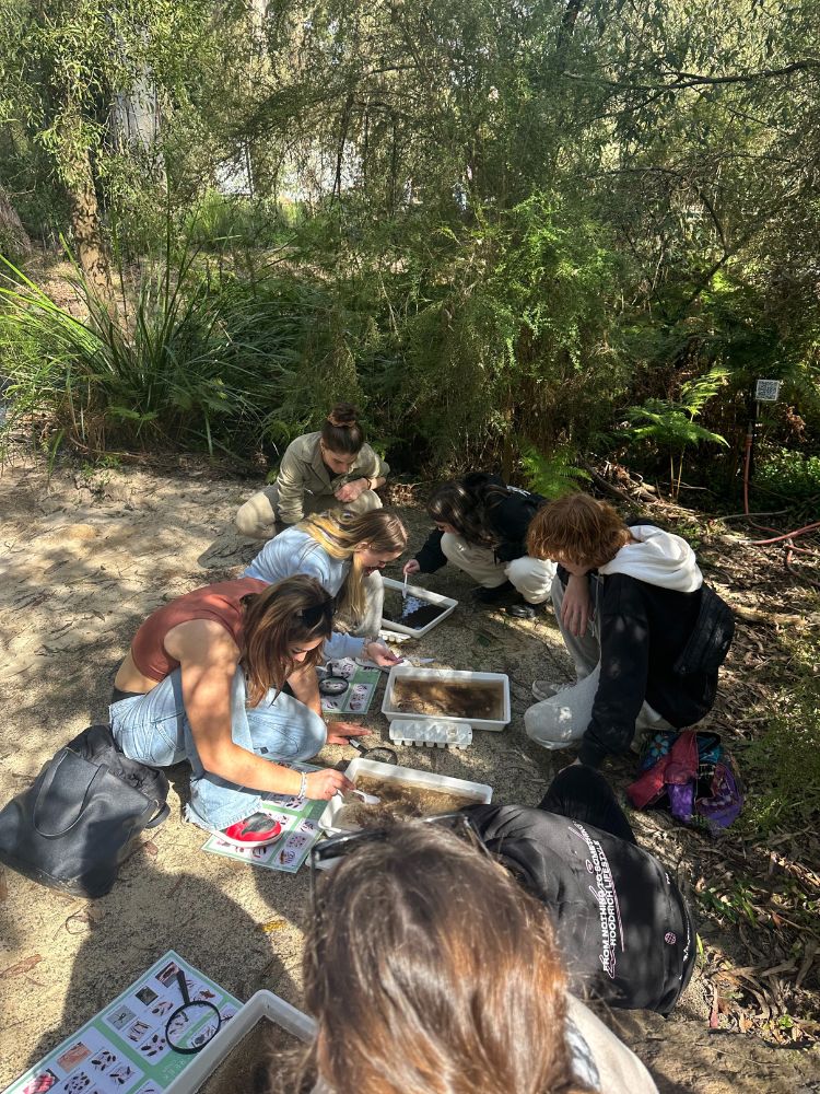 Healesville Sanctuary