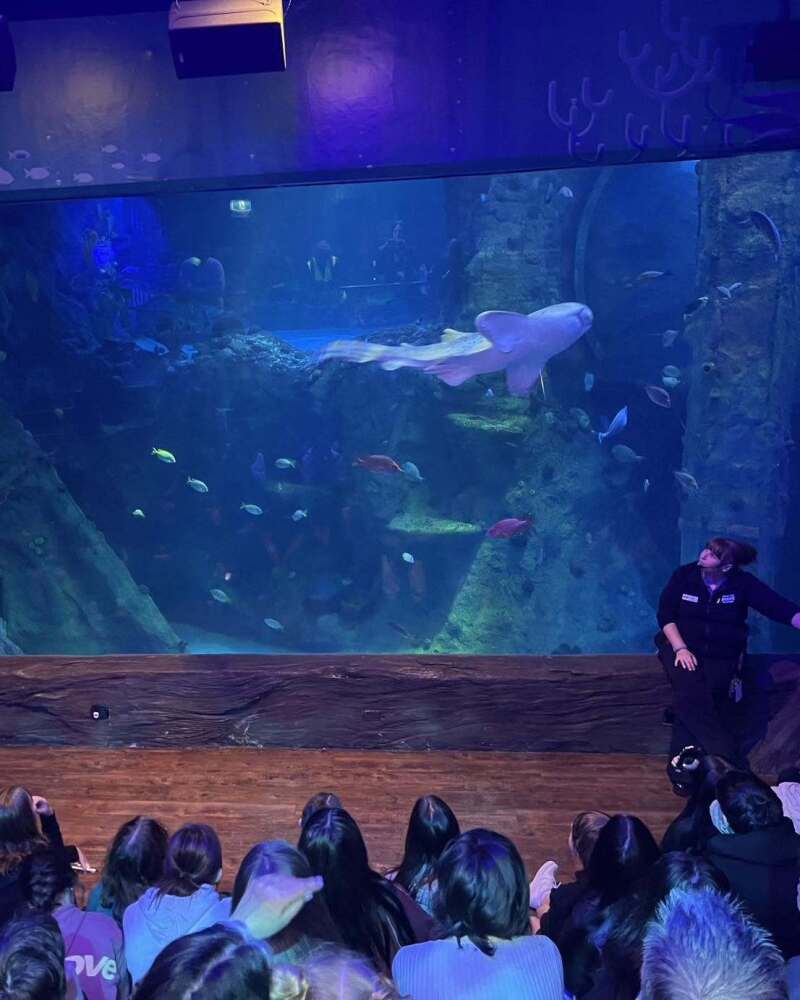 Students listening to talk in front of shark tank