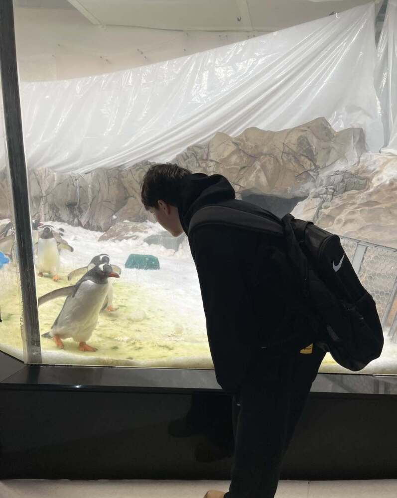 student interacting with penguin