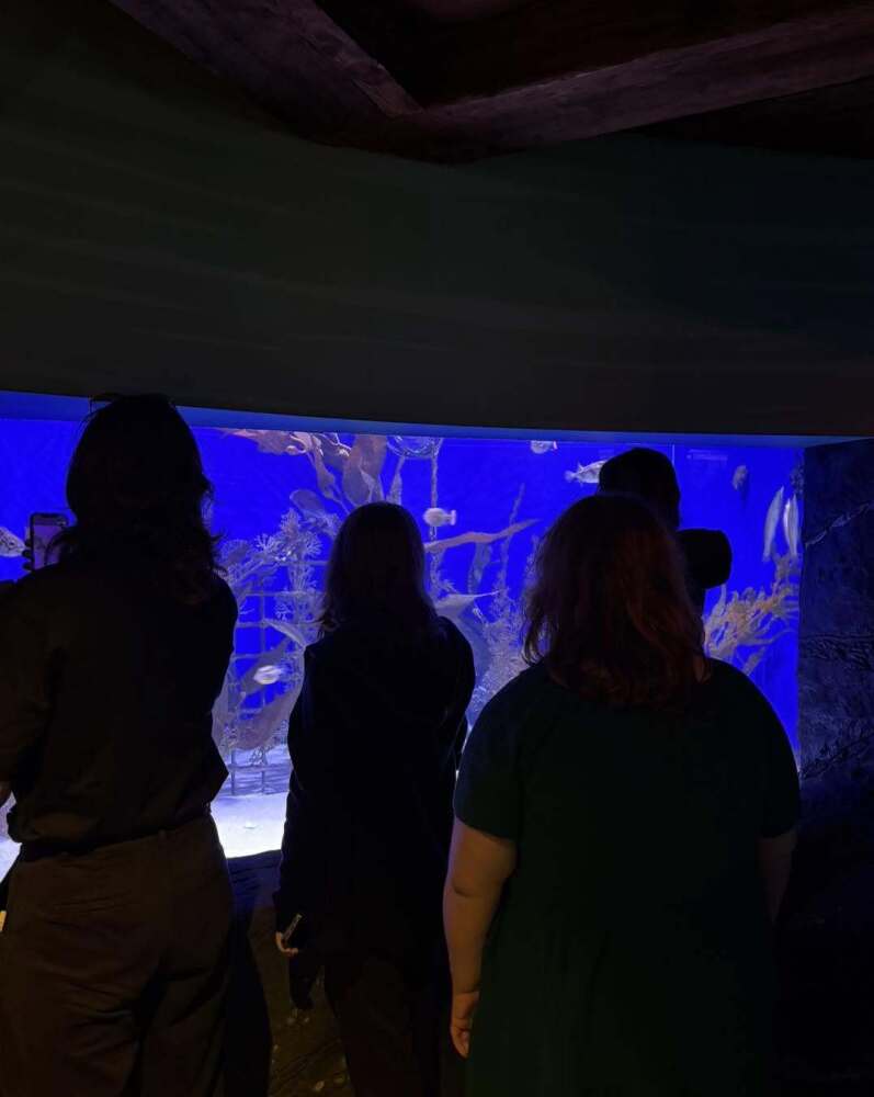 back of group of student =s in front of fish tank